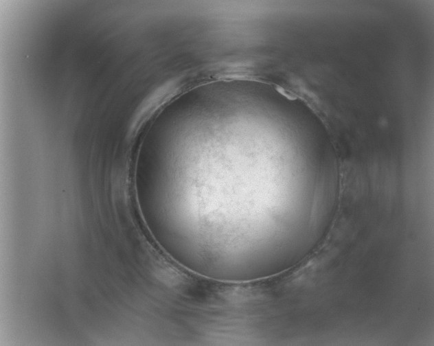 X0000063490293200602031958