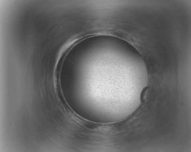 X0000063490294200602031958