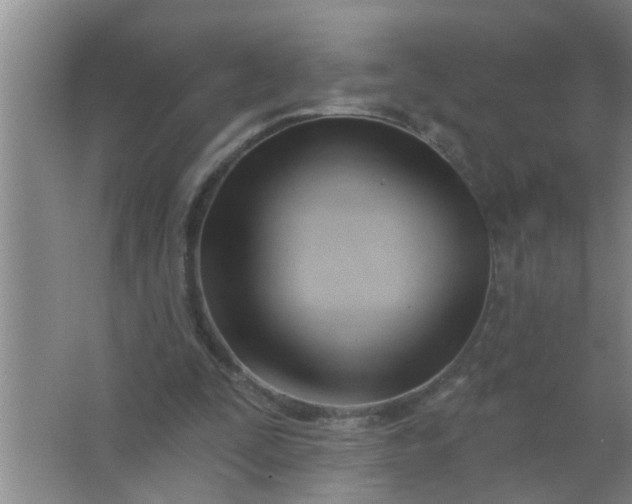 X0000063490295200602031958