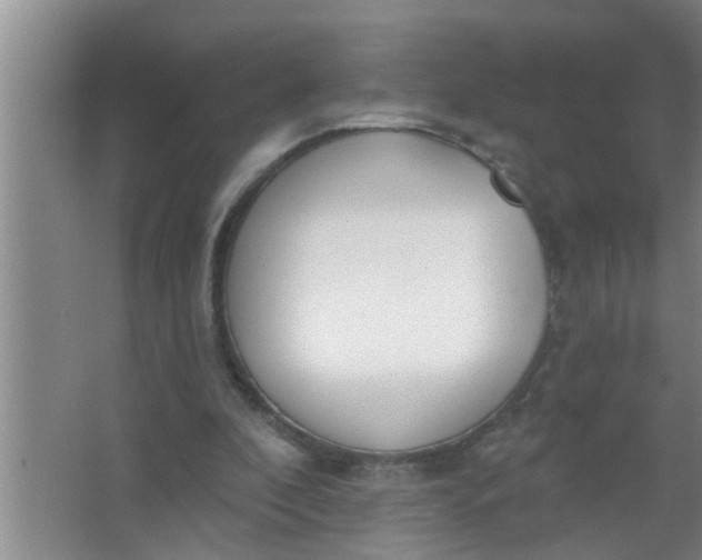 X0000063490296200602031958