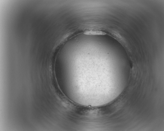 X0000063490306200602031958