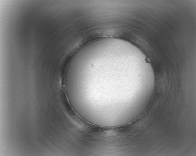 X0000063490310200602031958