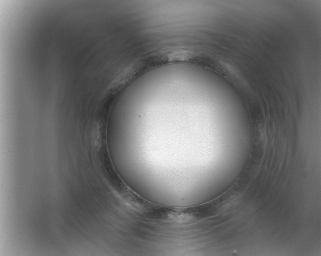 X0000063490311200602031958