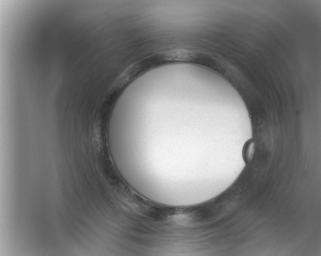 X0000063490312200602031958