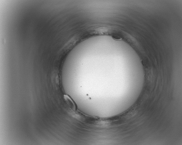 X0000063490313200602031958