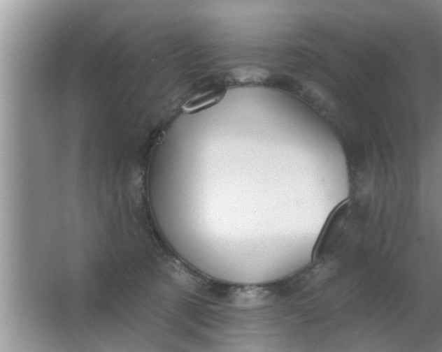 X0000063490321200602031958