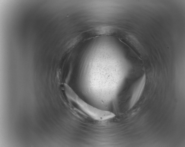 X0000063490325200602031958