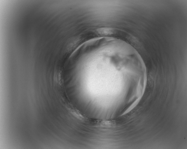 X0000063490330200602031958