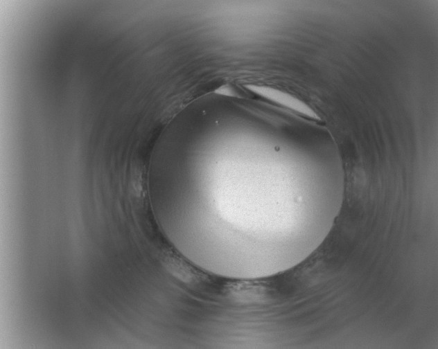 X0000063490331200602031958