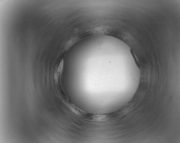 X0000063490334200602031958