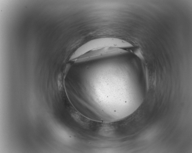 X0000063490335200602031958