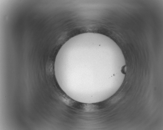 X0000063490336200602031958