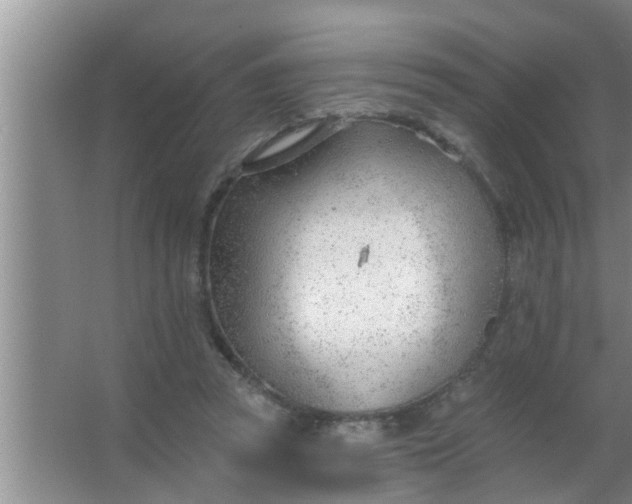 X0000063490353200602031957