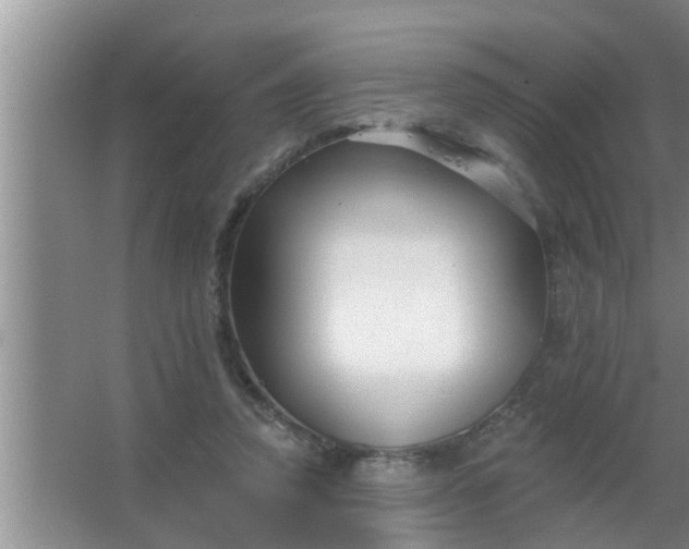 X0000063490354200602031957