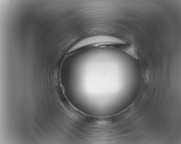 X0000063490360200602031957