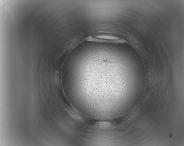 X0000063490361200602031957