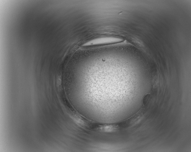 X0000063490365200602031957