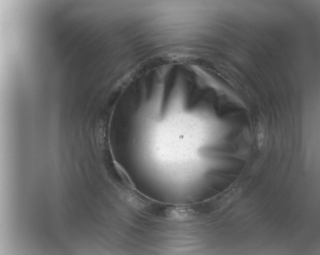 X0000063490372200602031958