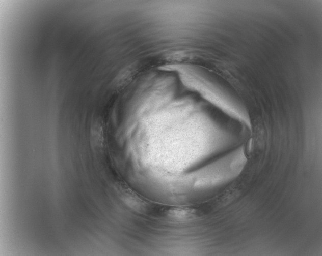 X0000063490375200602031958