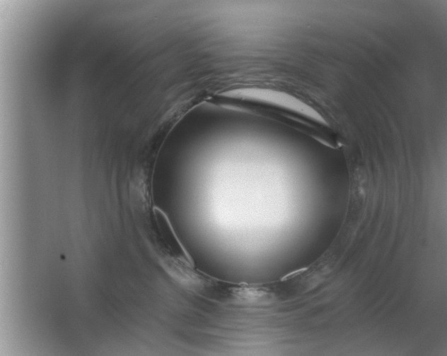 X0000063490380200602031958