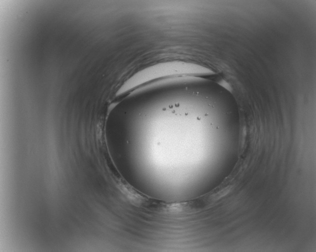 X0000063490382200602031958