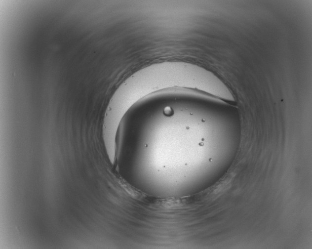 X0000063490384200602031958