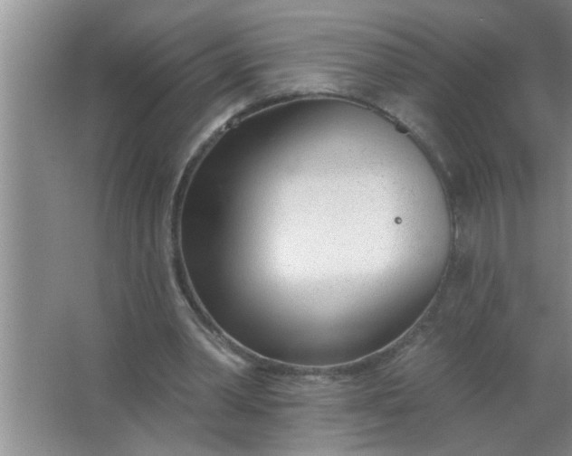 X0000063490390200602031957