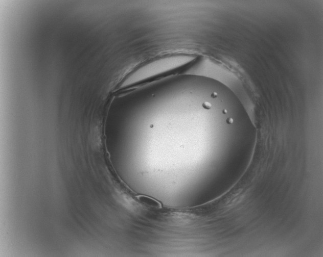 X0000063490393200602031957