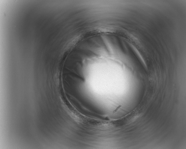 X0000063490402200602031957