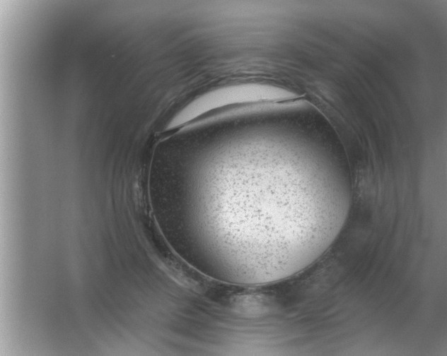 X0000063490408200602031957