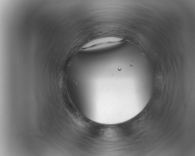 X0000063490412200602031956