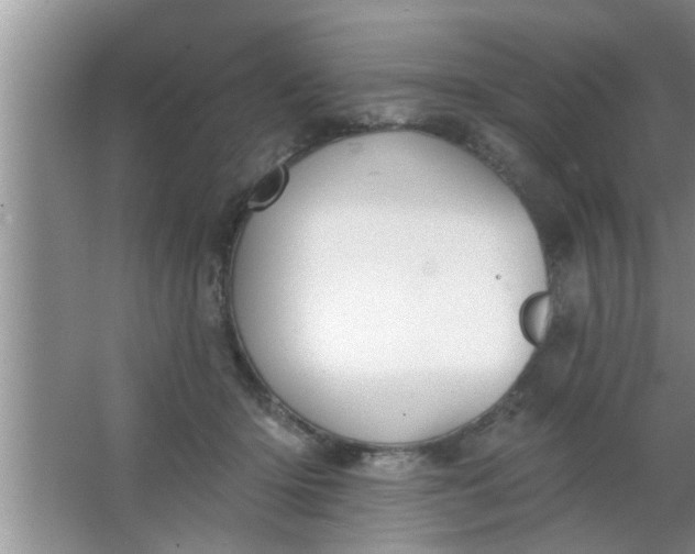 X0000063490414200602031956