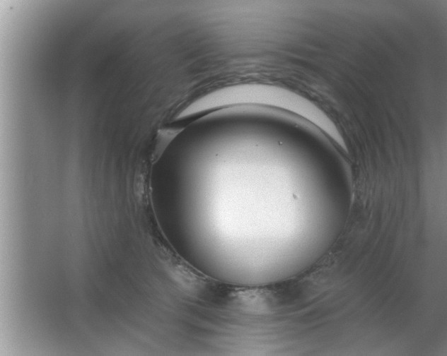 X0000063490417200602031956