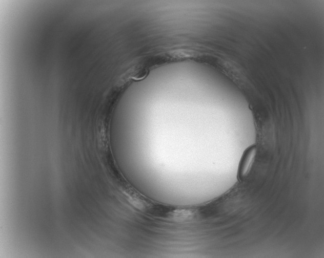 X0000063490418200602031956