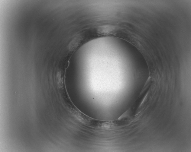 X0000063490420200602031956