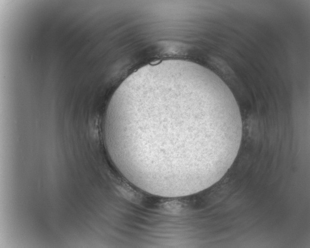 X0000063490423200602031956