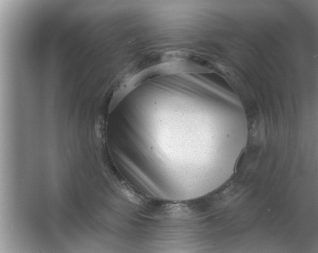 X0000063490424200602031956