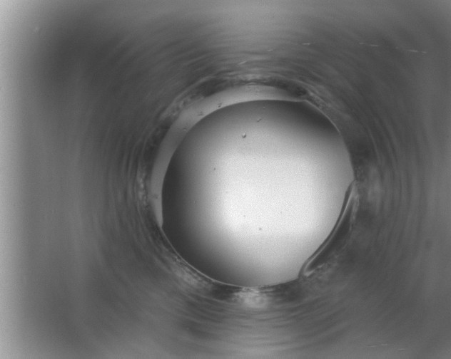 X0000063490425200602031956