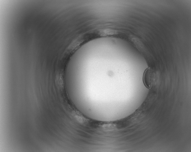 X0000063490426200602031956