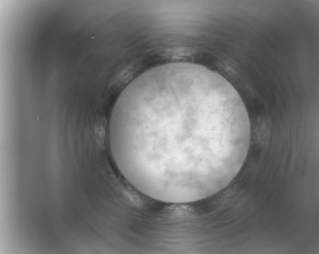 X0000063490427200602031956