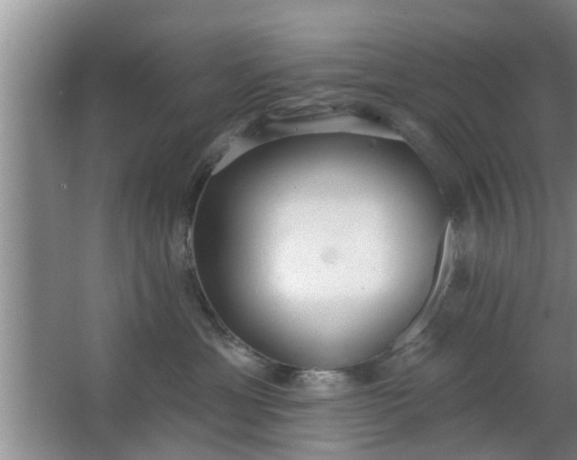 X0000063490429200602031956