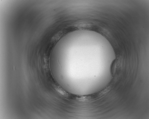 X0000063490430200602031956