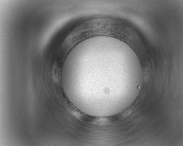 X0000063490431200602031956