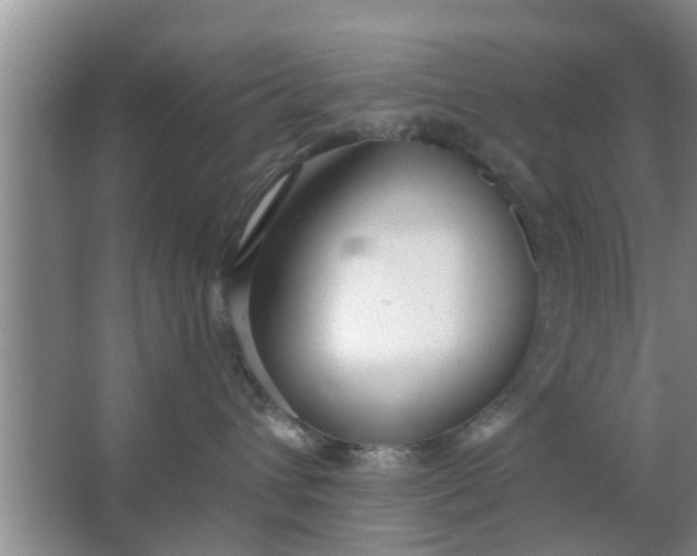 X0000063490432200602031956