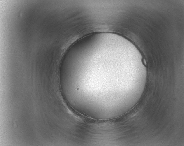 X0000063490433200602031955