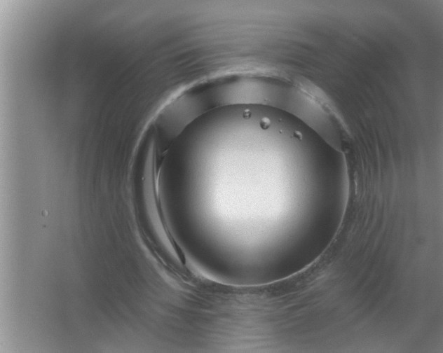 X0000063490436200602031955