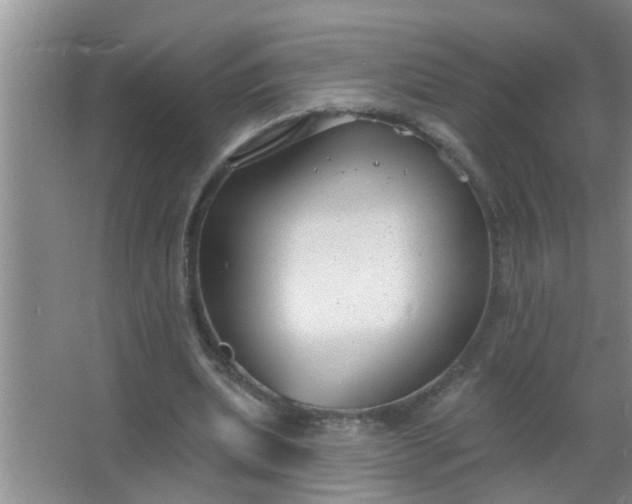 X0000063490439200602031955