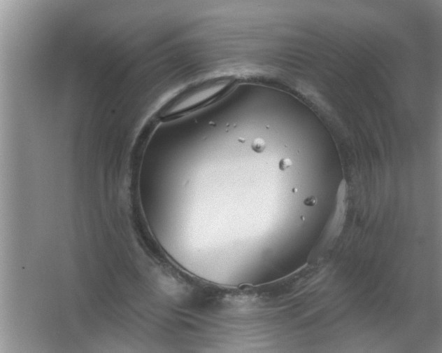 X0000063490440200602031955