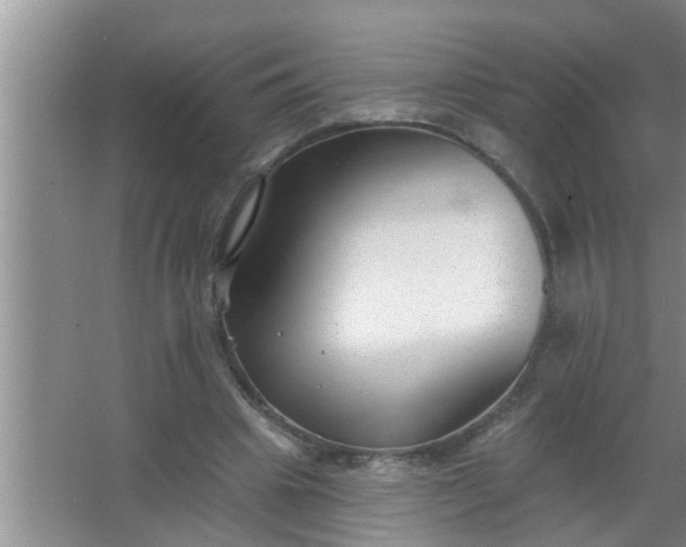 X0000063490441200602031955