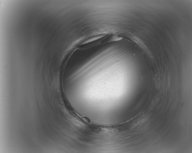 X0000063490442200602031955